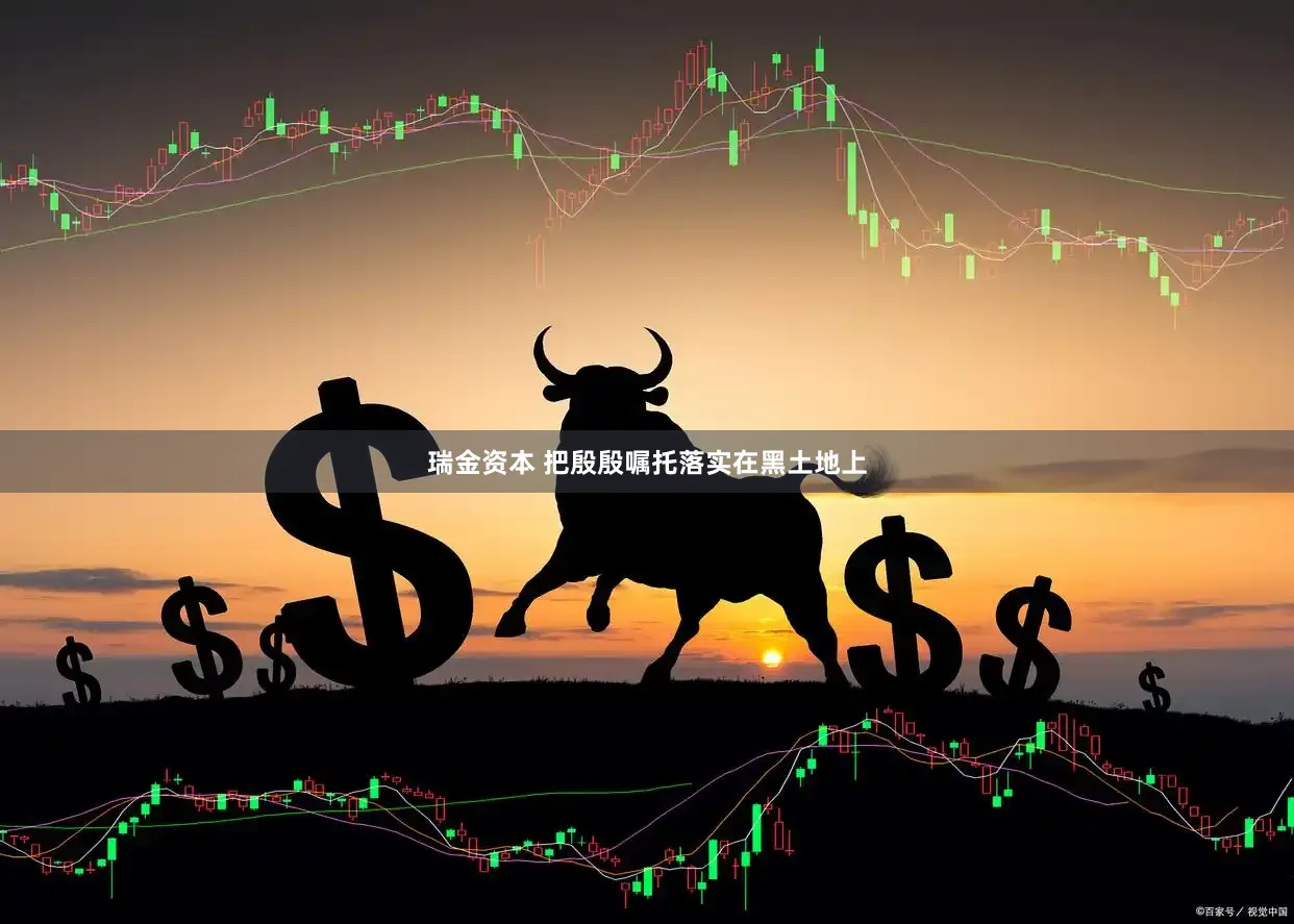 瑞金资本 把殷殷嘱托落实在黑土地上