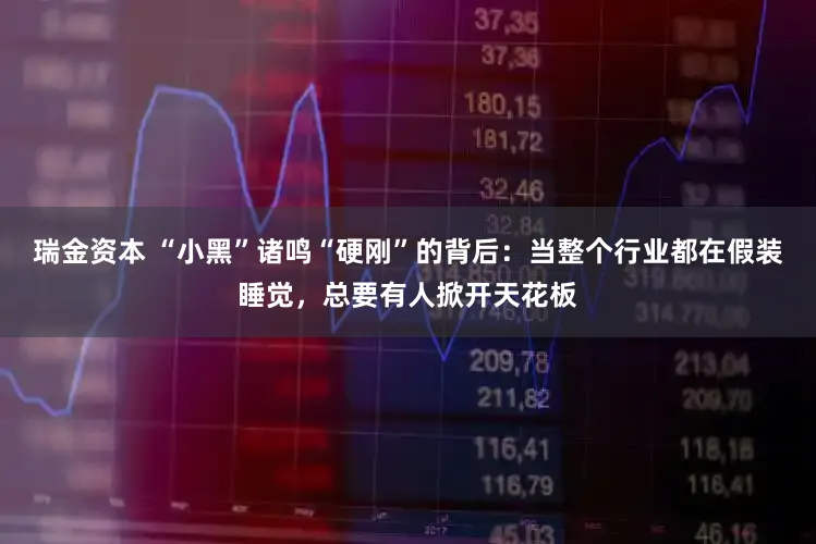 瑞金资本 “小黑”诸鸣“硬刚”的背后：当整个行业都在假装睡觉，总要有人掀开天花板