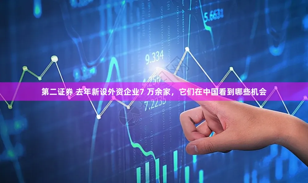 第二证券 去年新设外资企业7 万余家，它们在中国看到哪些机会