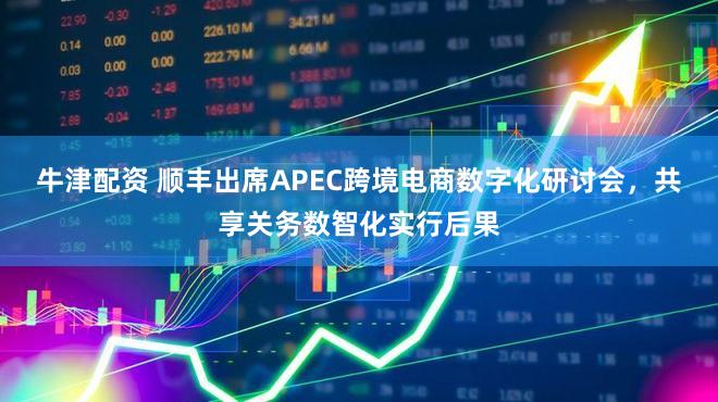 牛津配资 顺丰出席APEC跨境电商数字化研讨会，共享关务数智化实行后果