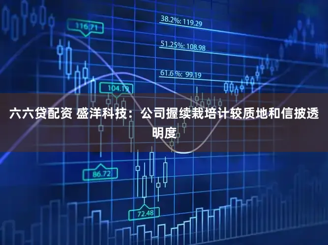 六六贷配资 盛洋科技：公司握续栽培计较质地和信披透明度