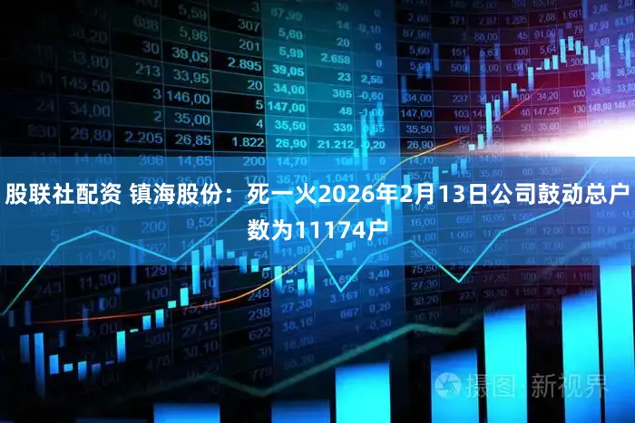股联社配资 镇海股份：死一火2026年2月13日公司鼓动总户数为11174户