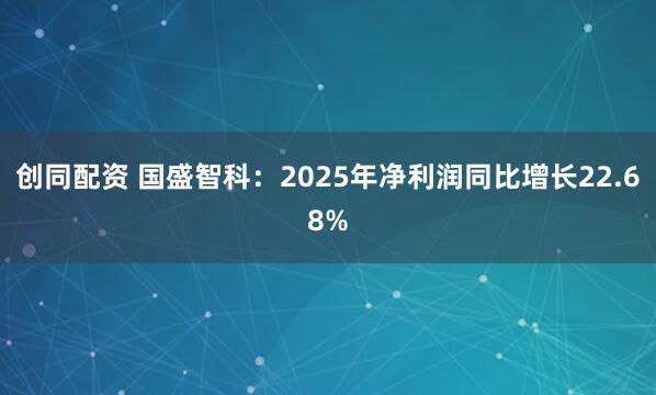 创同配资 国盛智科：2025年净利润同比增长22.68%