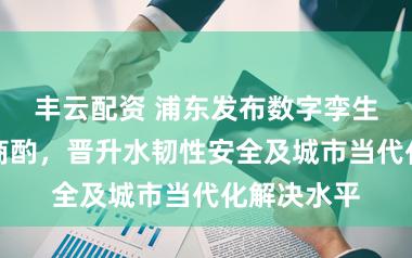 丰云配资 浦东发布数字孪生水网建设商酌，晋升水韧性安全及城市当代化解决水平