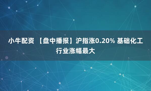 小牛配资 【盘中播报】沪指涨0.20% 基础化工行业涨幅最大