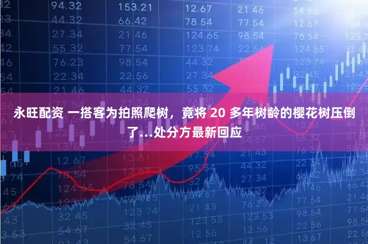 永旺配资 一搭客为拍照爬树,竟将 20 多年树龄的樱花树压倒了…处分方最新回应