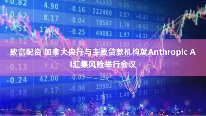 致富配资 加拿大央行与主要贷款机构就Anthropic AI汇集风险举行会议