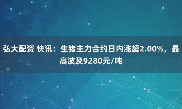 弘大配资 快讯:生猪主力合约日内涨超2.00%,最高波及9280元/吨