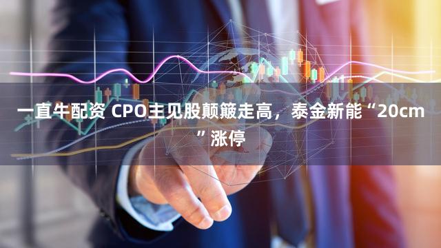 一直牛配资 CPO主见股颠簸走高，泰金新能“20cm”涨停