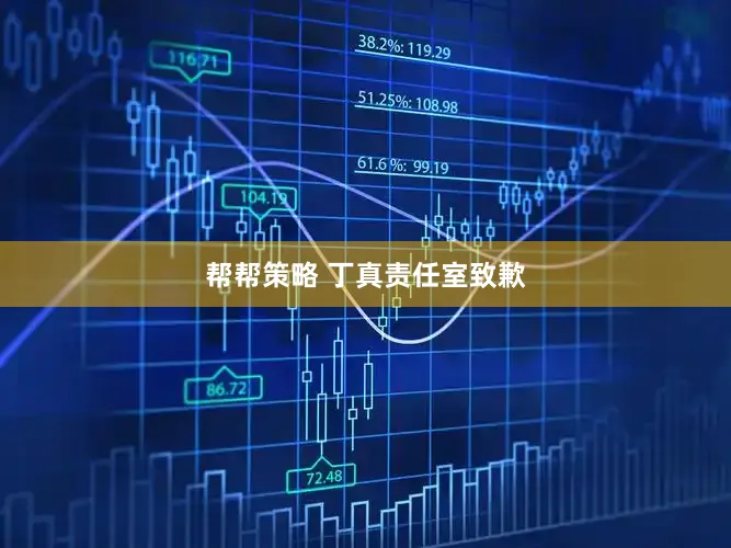 帮帮策略 丁真责任室致歉