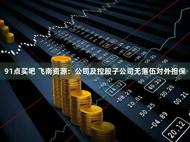 91点买吧 飞南资源：公司及控股子公司无落伍对外担保